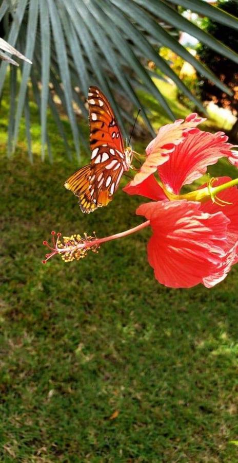 Villas Guanacaste ポトレロ エクステリア 写真