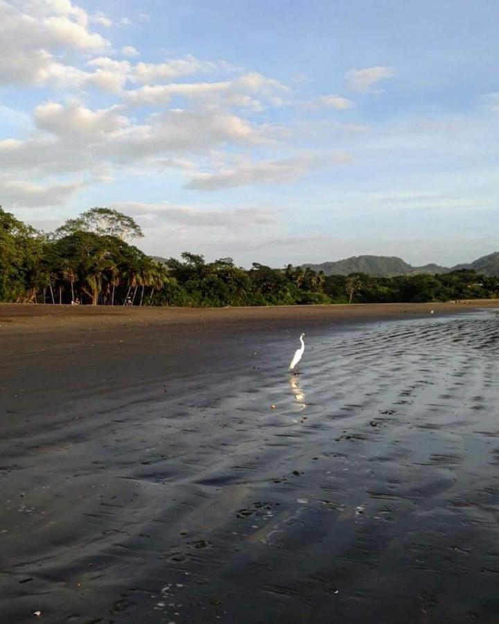 Villas Guanacaste ポトレロ エクステリア 写真